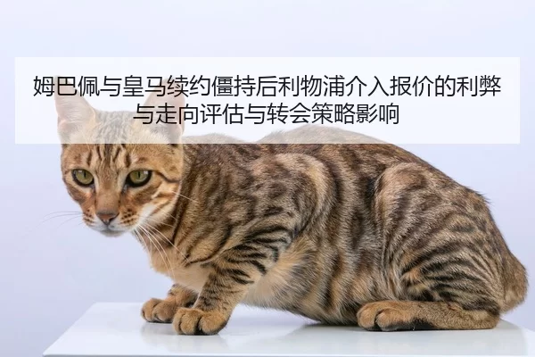 mu-ba-pei-yu-huang-ma-xu-yue-jiang-chi-hou-li-wu-pu-jie-ru-bao-jia-de-li-bi-yu-zou-xiang-ping-gu-yu-zhuan-hui-ce-lve-2-332.jpg