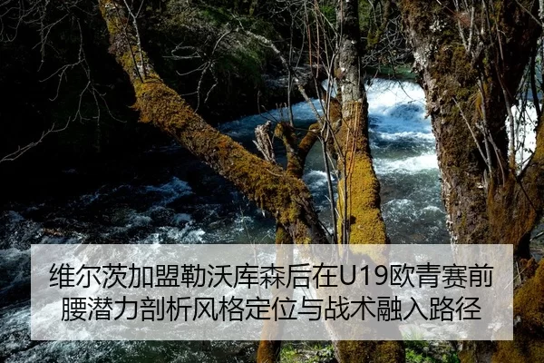 维尔茨加盟勒沃库森后在U19欧青赛前腰潜力剖析风格定位与战术融入路径