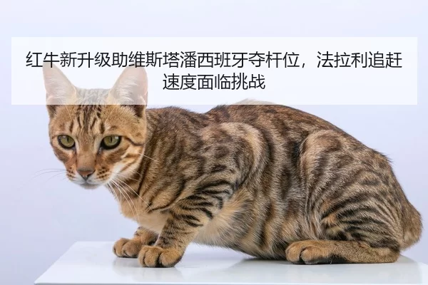 hong-niu-xin-sheng-ji-zhu-wei-si-ta-pan-xi-ban-ya-duo-gan-wei-fa-la-li-zhui-gan-su-du-mian-lin-tiao-zhan-2-958.jpg