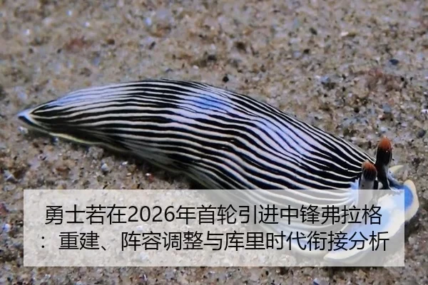 勇士若在2026年首轮引进中锋弗拉格：重建、阵容调整与库里时代衔接分析