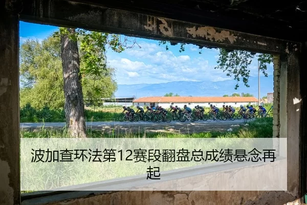 bo-jia-cha-huan-fa-di-sai-duan-fan-pan-zong-cheng-ji-xuan-nian-zai-qi-2-298.jpg